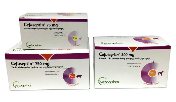 CEFASEPTIN 300MG 100TABL.