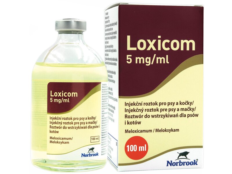 LOXICOM INJ. _5MG 100ML