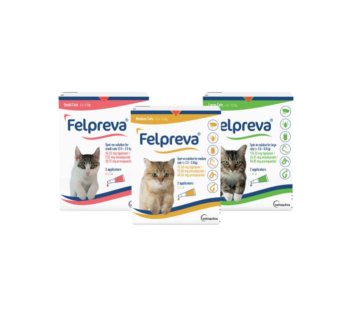 FELPREVA KOT 2,5-5KG MED _2PIPETY