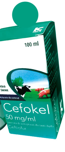 CEFOKEL 50MG 100ML