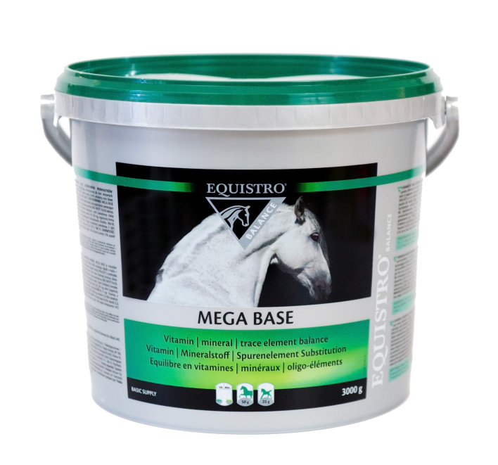 EQUISTRO MEGA BASE 3000G
