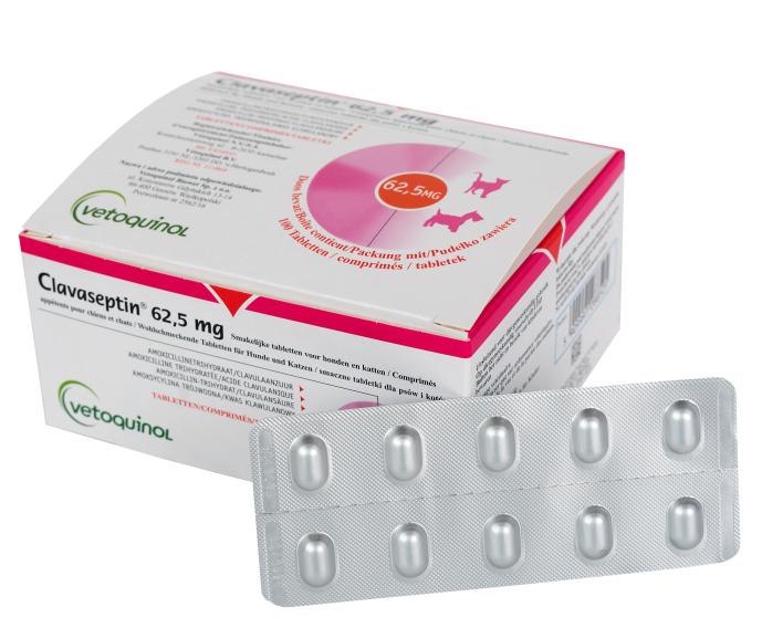 CLAVASEPTIN 750MG 100TABL.