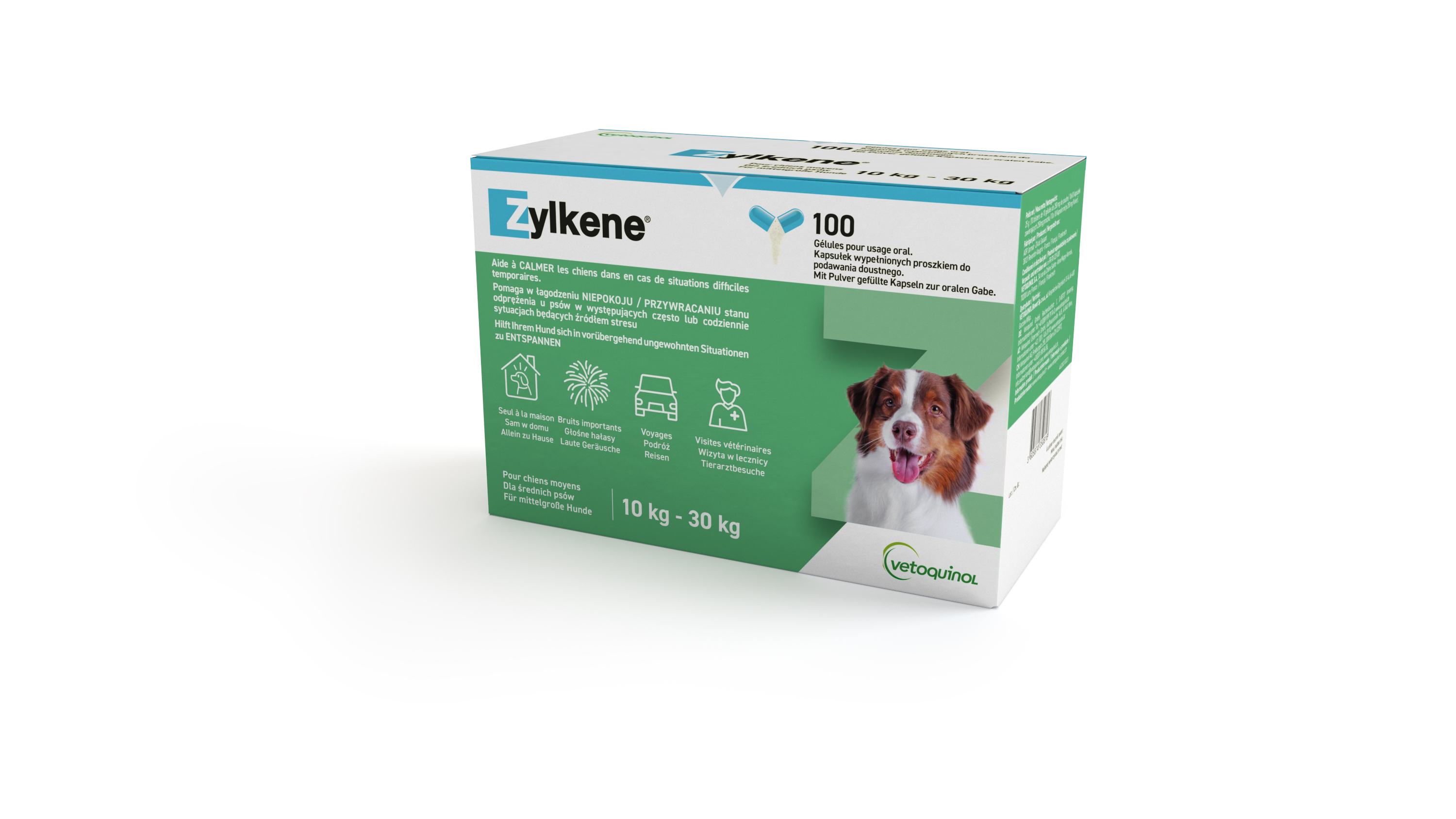 ZYLKENE 450MG _10KAPS (15-60KG)