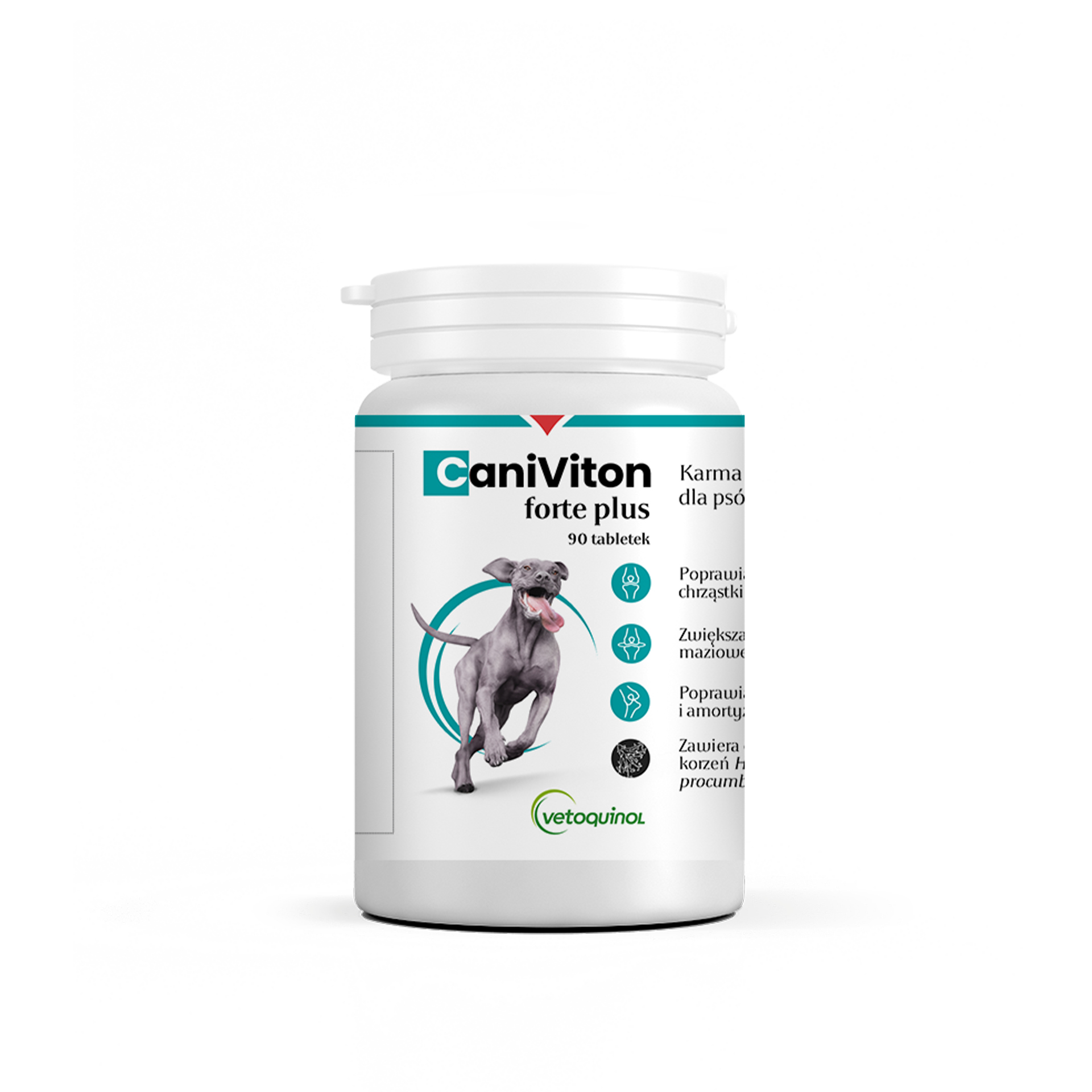 CANIVITON FORTE PLUS 90TABL.