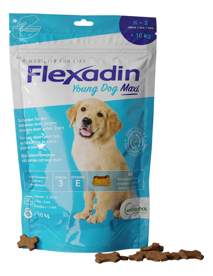 FLEXADIN YOUNG DOG MAXI 60TABL.