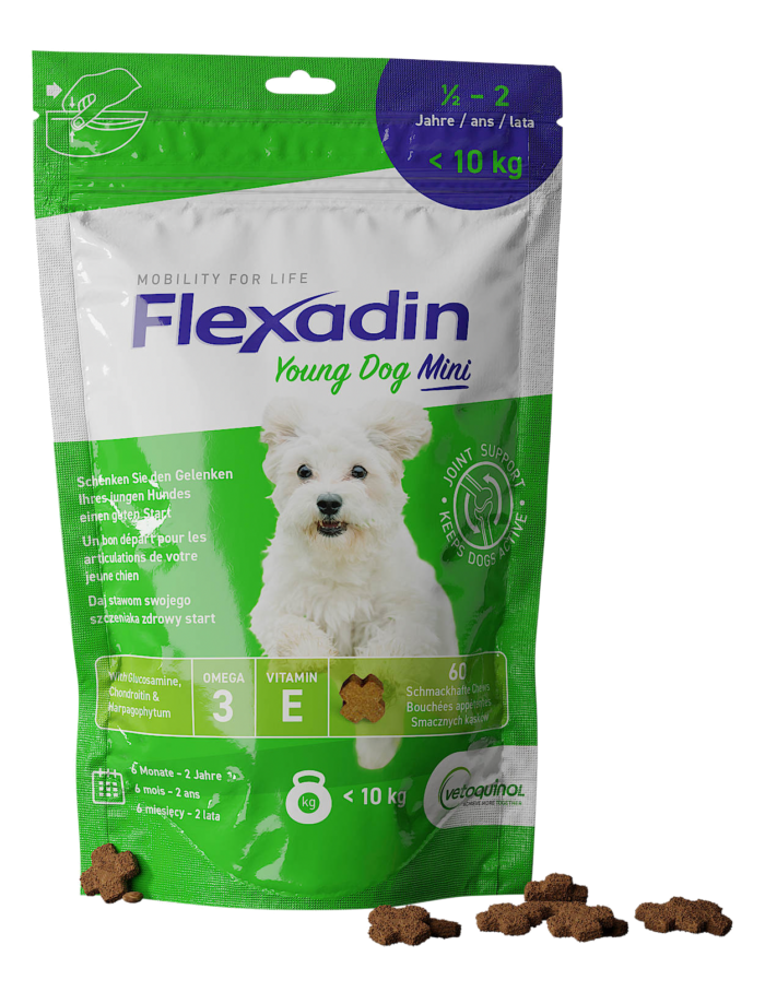 FLEXADIN YOUNG DOG MINI 60TABL.