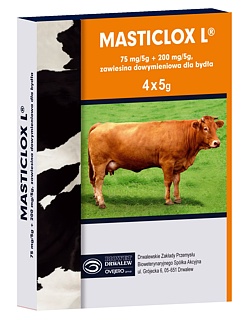 MASTICLOX L 5G 1TUBA